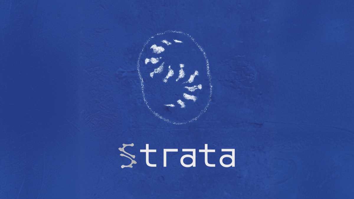 STRATA